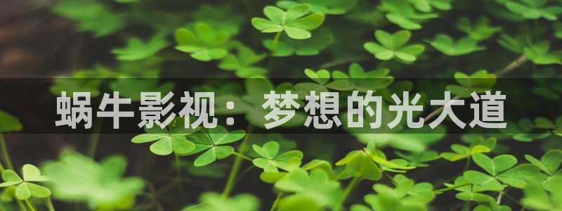 七七影院免费观看：蜗牛影视：梦想的光大道