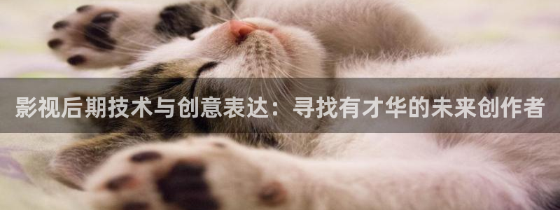 色七七影院2016：影视后期技术与创意表达：寻找有才华的未来创作者