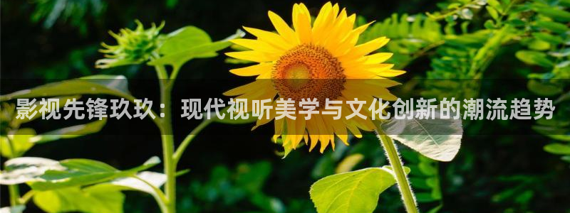 色七七影院：影视先锋玖玖：现代视听美学与文化创新的潮流趋势