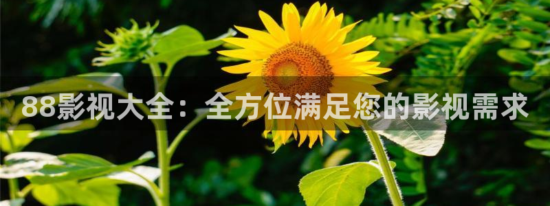 七七影院免费观看电视剧大全下载：88影视大全：全方位满足您的影视需求