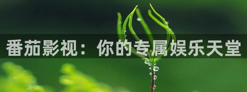 七七影院：番茄影视：你的专属娱乐天堂