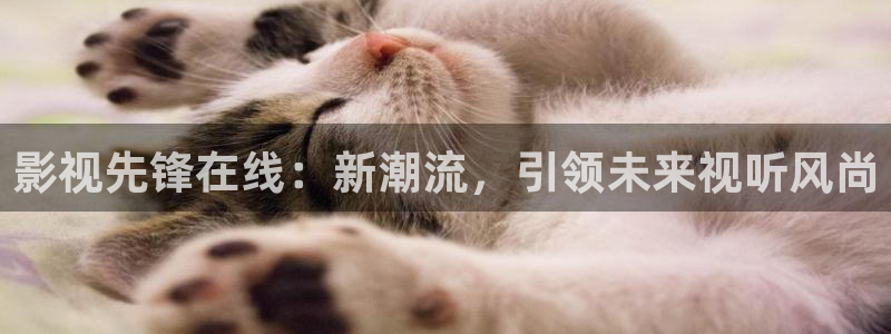 七七影视大全最新版本：影视先锋在线：新潮流，引领未来视听风尚