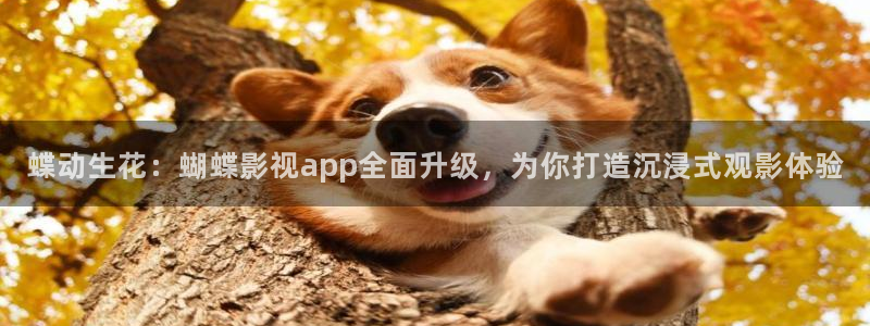 七七影视大全免费观看电视剧高清：蝶动生花：蝴蝶影视app全面升级，为你打造沉浸式观影体验