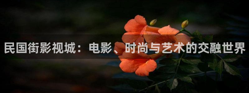 七七影视大全免费观看电视剧高清：民国街影视城：电影、时尚与艺术的交融世界